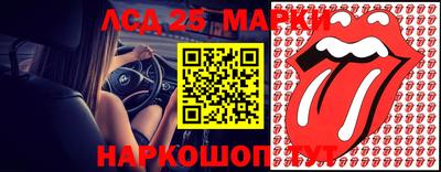 MDMA Premium VHQ Гатчина