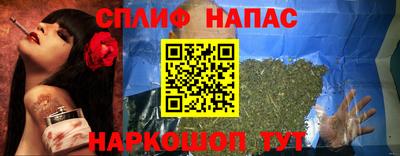 ешки Гай