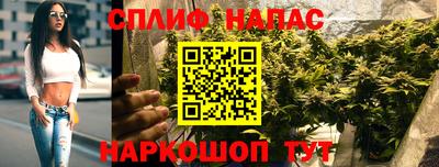 ешки Гай