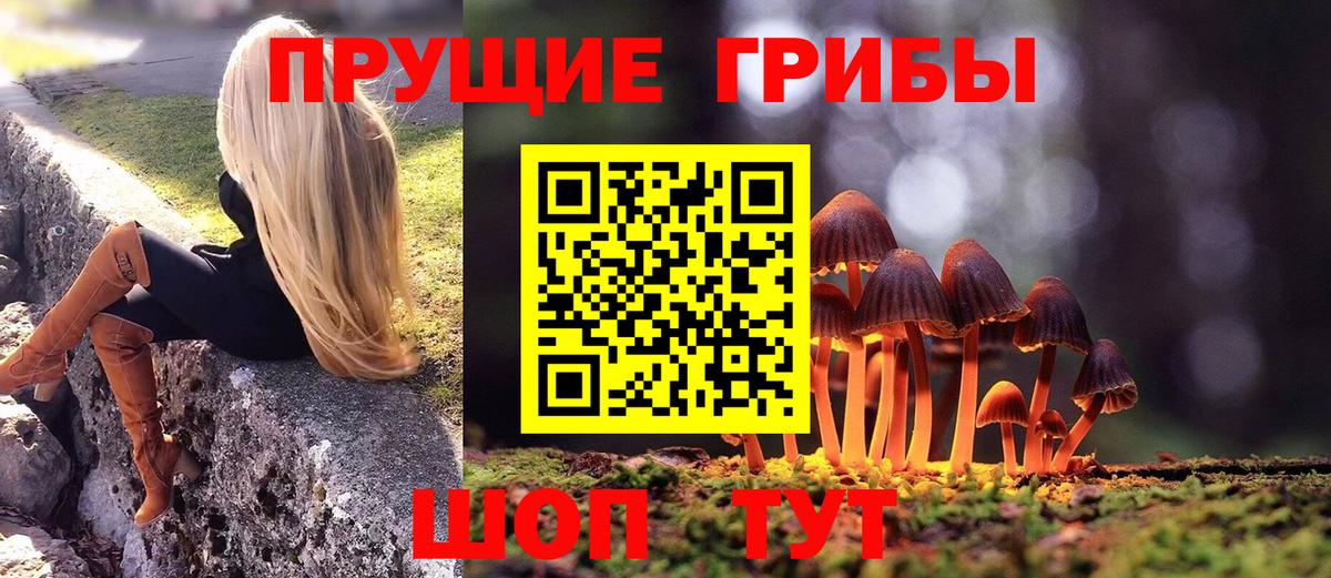 Галлюциногенные грибы Magic Shrooms  Вход с VPN  Можга 