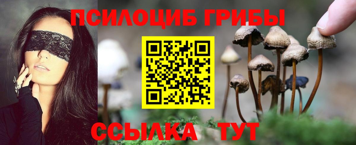 А ПВП Можга